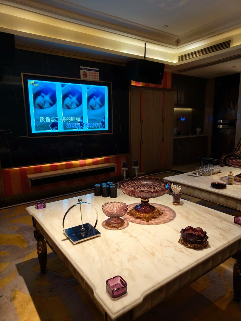 咸阳商务KTv探索新模式-武功县ktv预订